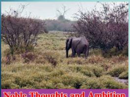 Noble Thoughts and Ambition Motivation and Inspiration Thoughts Tips For Success - Sachi Shiksha