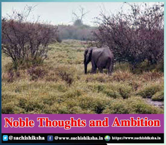 Motivation and Inspiration Thoughts Tips For Success - Sachi Shiksha