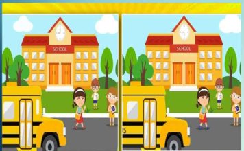 Puzzles & Find the Difference - Sachi Shiksha