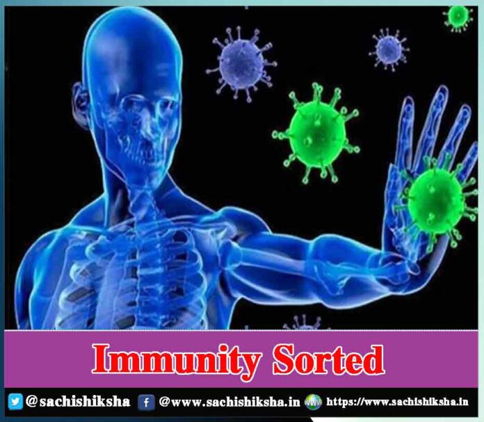 Get High Immunity levels - Sachi Shiksha