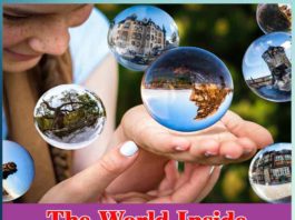The World Inside The World Inside