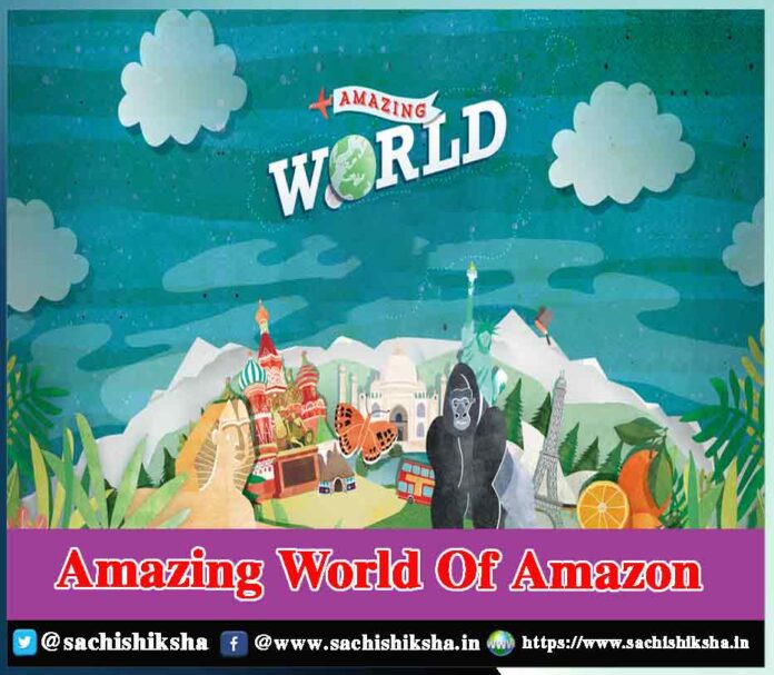 Amazon Company History & Background- Sachi Shiksha