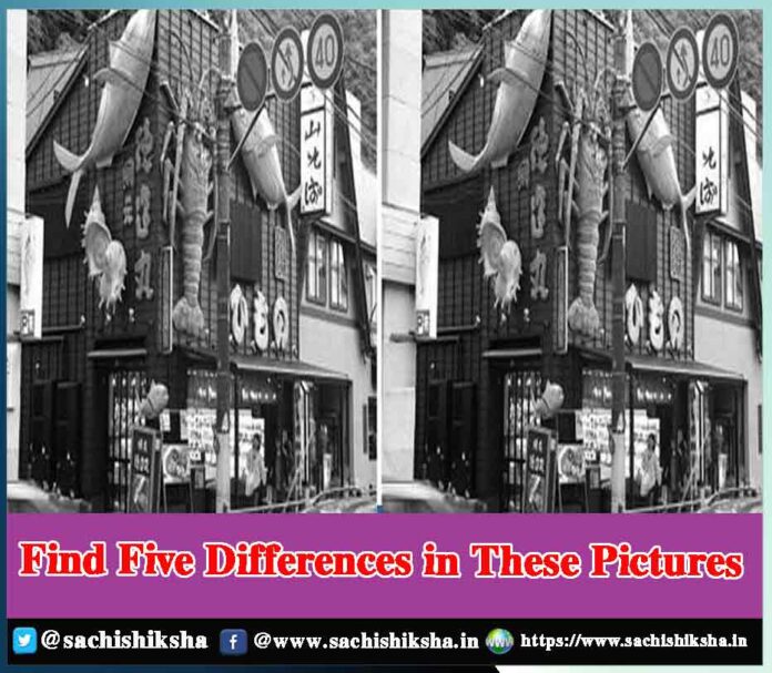 find the difference between two pictures - Sachi Shiksha
