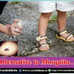 natural mosquito repellent home remedies