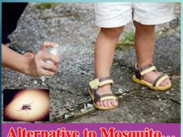 natural mosquito repellent home remedies - Sachi Shiksha