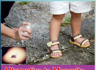 natural mosquito repellent home remedies - Sachi Shiksha