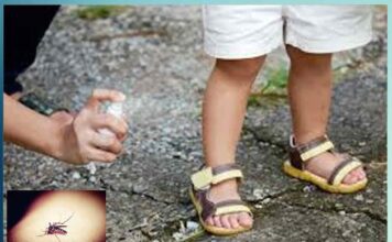 natural mosquito repellent home remedies - Sachi Shiksha