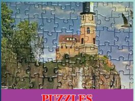 puzzles with answers - Sachi Shiksha