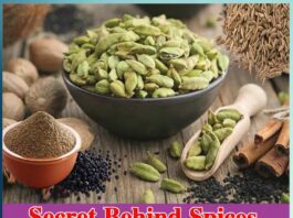 Secret Behind Spices: Interesting Facts & Benefits - Sachi Shiksha