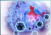 The novel corona virus has four stages of transmission - We are in stage 2 - Sachi Shiksha