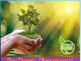 Go Green and Recycle Your Evergreen - Sachi Shiksha