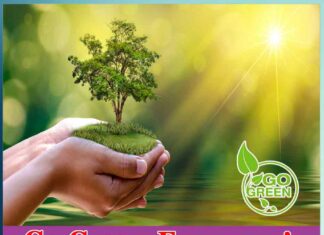 Go Green and Recycle Your Evergreen - Sachi Shiksha