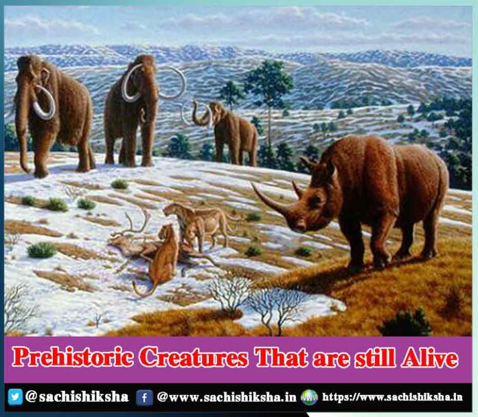 Prehistoric Creatures That are still Alive - Sachi Shiksha