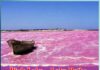 Pink Lake - Lake Retba - Region of Western Africa - Sachi Shiksha