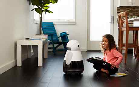 Stay at home robots - Sachi Shiksha