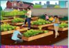 advantages of vertical farming - Sachi Shiksha