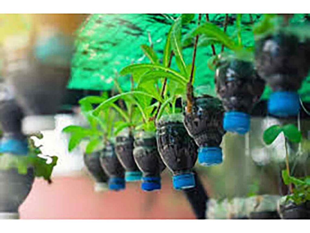 Advantages of Vertical Farming (Gardening) Sachi Shiksha