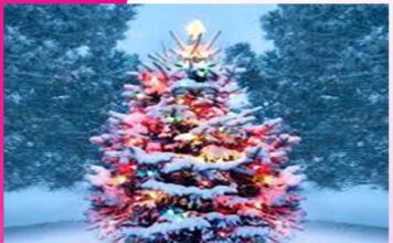 Christmas, Joy is in the Air