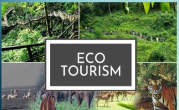Eco Tourism
