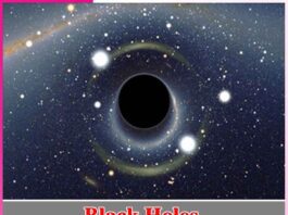 Black Holes
