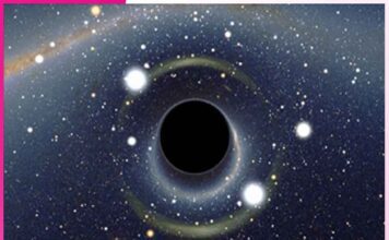 Black Holes