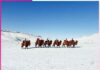 Cold Desert (Gobi)