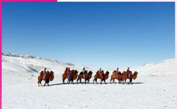 Cold Desert (Gobi)