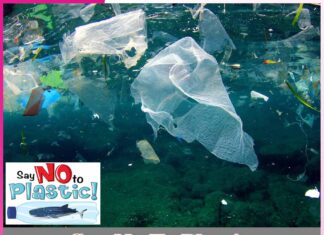 Say No To Plastic 