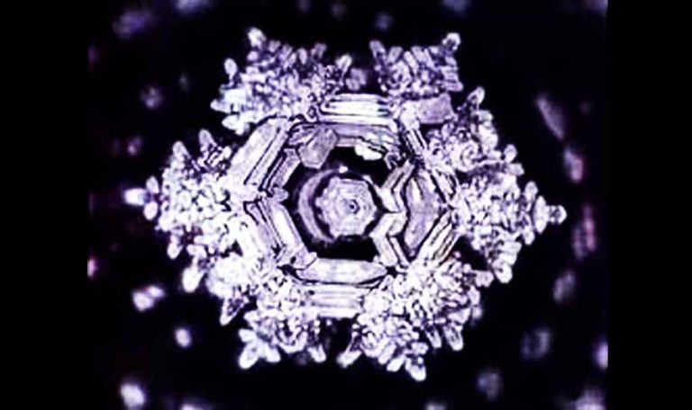 emoto water experiment fake