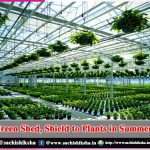Green Shed, Shield to Plants in Summers – sachi shiksha