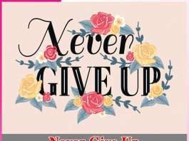 Never Give Up -sachi shiksha