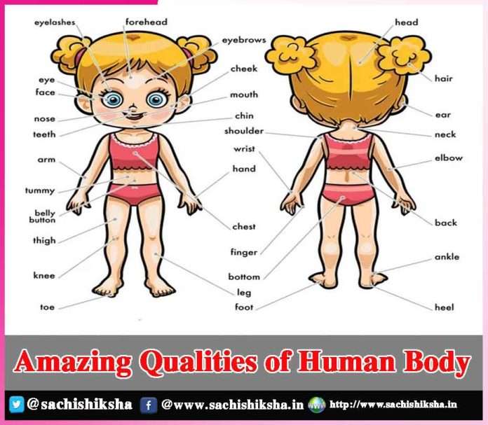  Amazing Qualities of Human Body -sachi shiksha