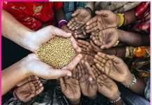 Food Security -sachi shiksha
