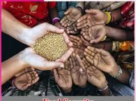 Food Security -sachi shiksha