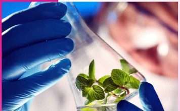 Importance of Biotechnology -sachi shiksha