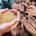 Food-Security-in-India