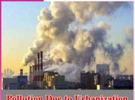 Pollution Due to Urbanization - sachi shiksha
