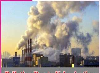Pollution Due to Urbanization - sachi shiksha