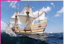 Mayflower The Symbol of Hope & Renewal - sachi shiksha