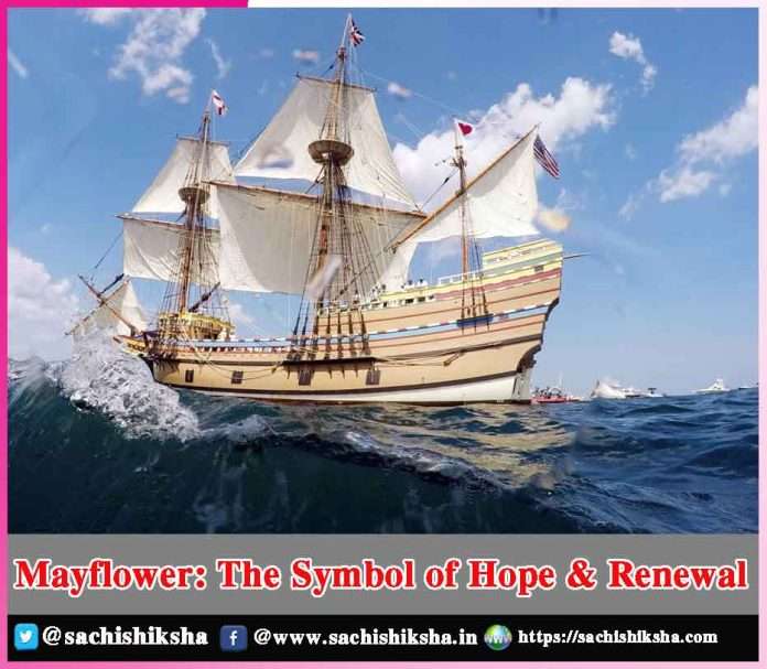 Mayflower The Symbol of Hope & Renewal - sachi shiksha
