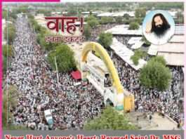 Never Hurt Anyone's Heart Revered Saint Dr. MSG