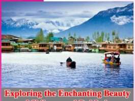 Exploring the Enchanting Beauty of Shikara and Dal Lake - sachi shiksha