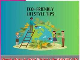 Simple Steps to Start Living a Sustainable Life - sachi shiksha