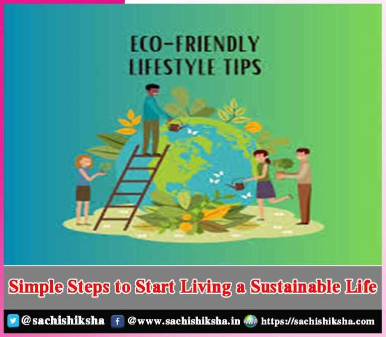 Simple Steps to Start Living a Sustainable Life | Sachi Shiksha