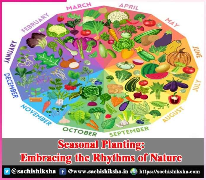 Seasonal Planting -sachi shiksha