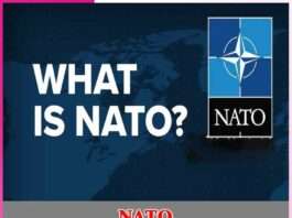 NATO -sachi shiksha