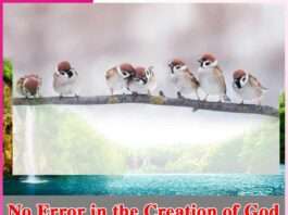 No Error in the Creation of God -sachi shiksha