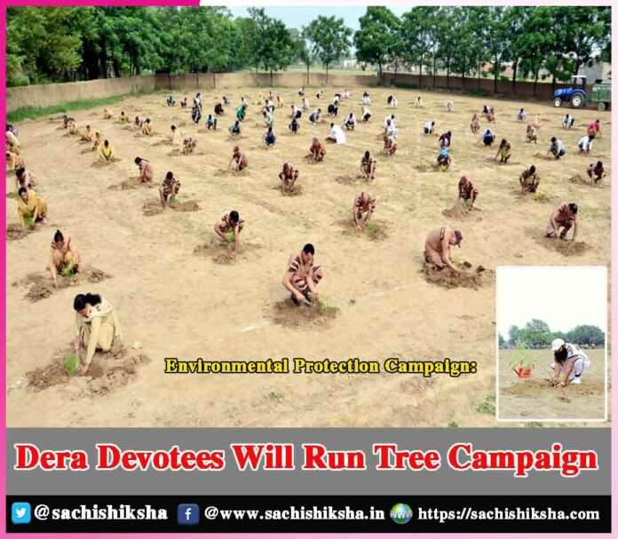 Tree Campaign -sachi shiksha