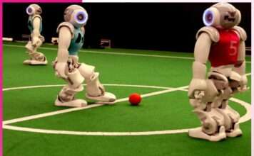 World of Robots
