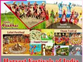 Harvest Festivals of India -sachi shiksha
